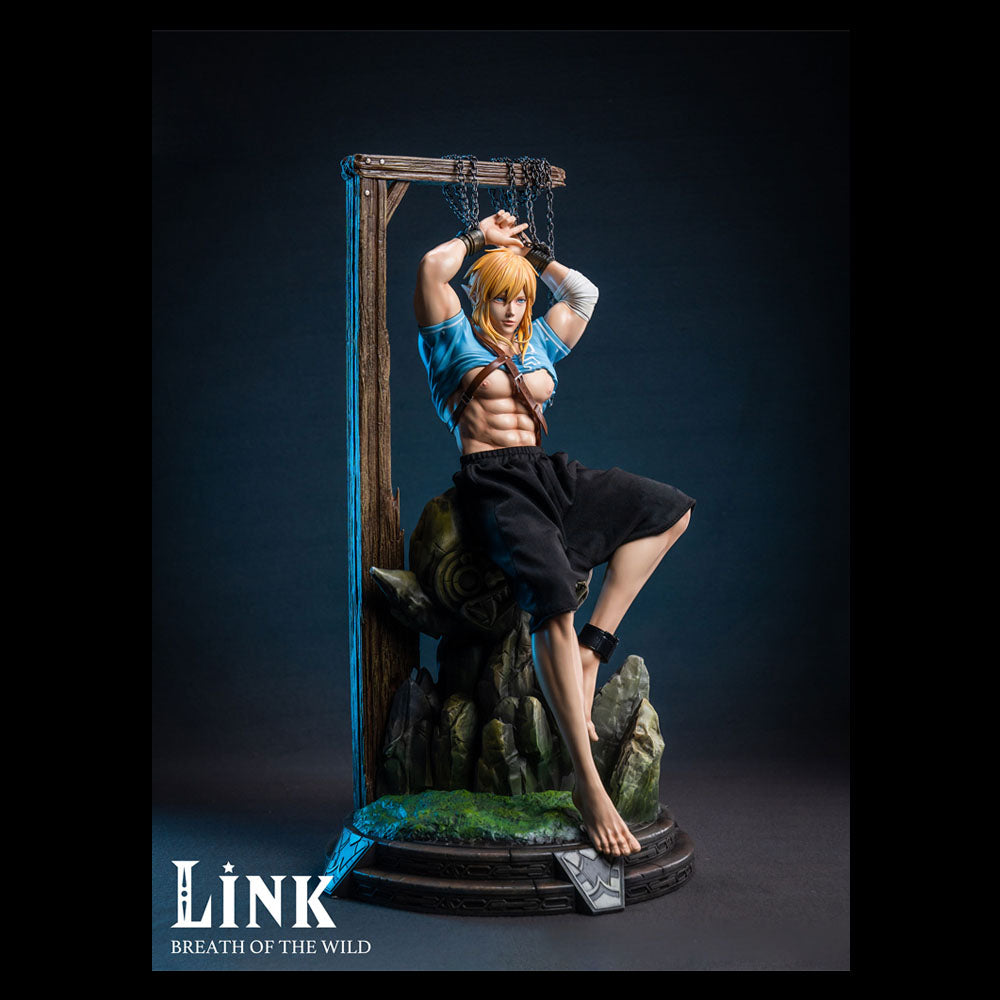 [Pre-Order] Dick Studio 1/6 The Legend of Zelda: Breath of the Wild Link  Figure Statue